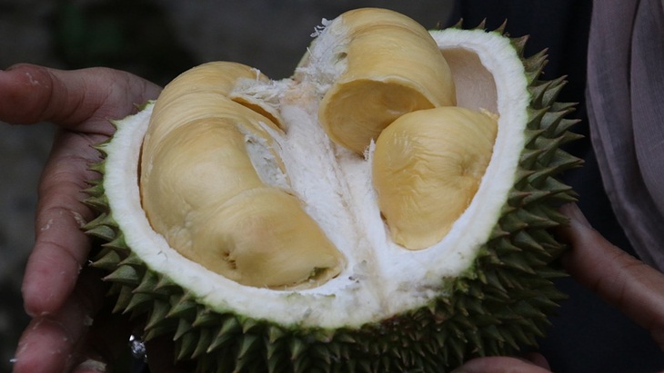 Kamu wajib mencoba durian ketika melancong ke KL. (Foto: Pixabay/christopher1710)