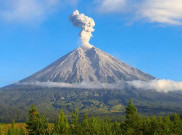 Erupsi Gunung Semeru di Lumajang, Basarnas hingga TNI/Polri Dikerahkan ke Sejumlah Titik untuk Percepat Evakuasi Korban