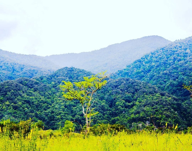 Lembah Bada. (Foto: instagram.com/palu_travelling)