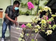 KPK Geledah Kantor DLH Klaten Selama 7 Jam, Sejumlah Dokumen Disita