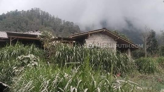 Sisa Material Abu Vulkanis Menyelimuti Boyolali, Warga Kesulitan Cari Pakan Ternak