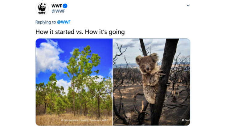 WWF Soroti Isu Krisis Iklim Lewat Meme Memilukan