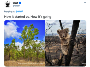 WWF Soroti Isu Krisis Iklim Lewat Meme Memilukan