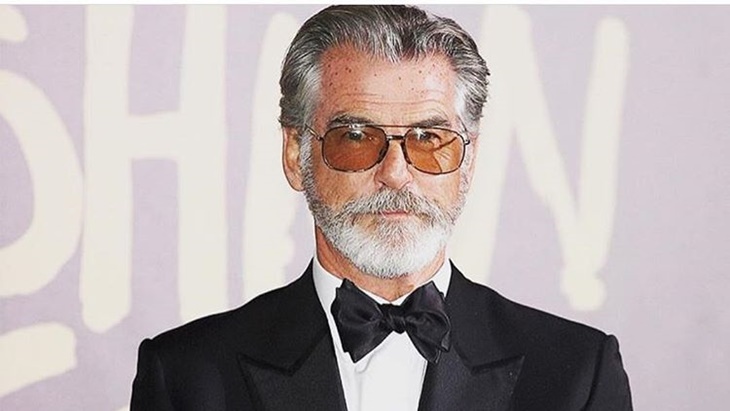 Pierce Brosnan bakal Bintangi 'Cinderella'