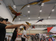 Indonesia International Pet Expo 2018