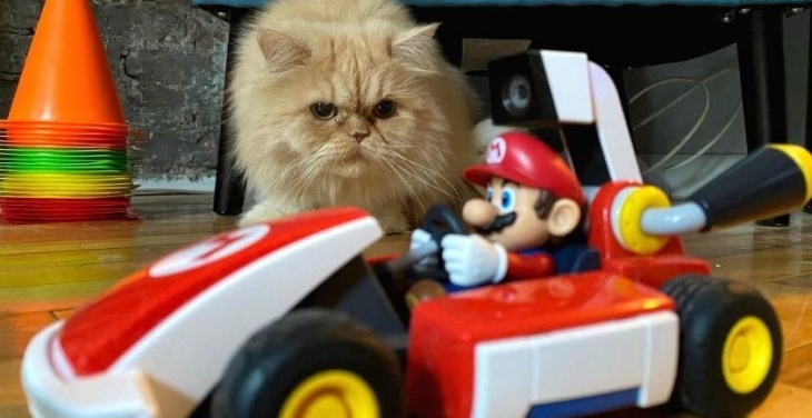 Kucing Peliharaan Jadi Musuh Gim Mario Kart Live: Home Circuit