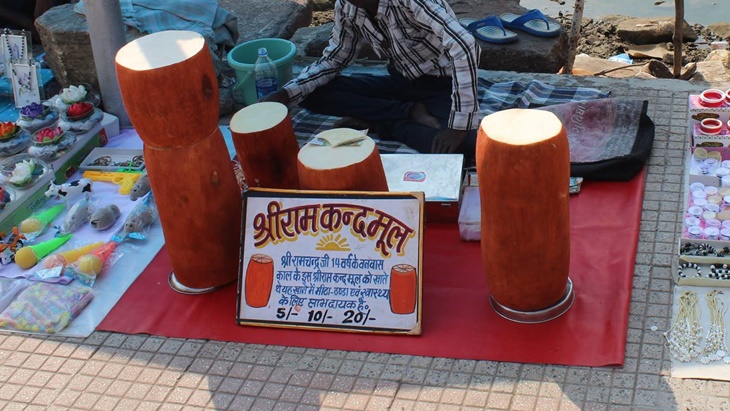 Ram Kand Mool, Camilan Misterius dari India