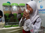 PB IDI Sebut Susu Sapi dan Ikan Sumber Protein yang Baik