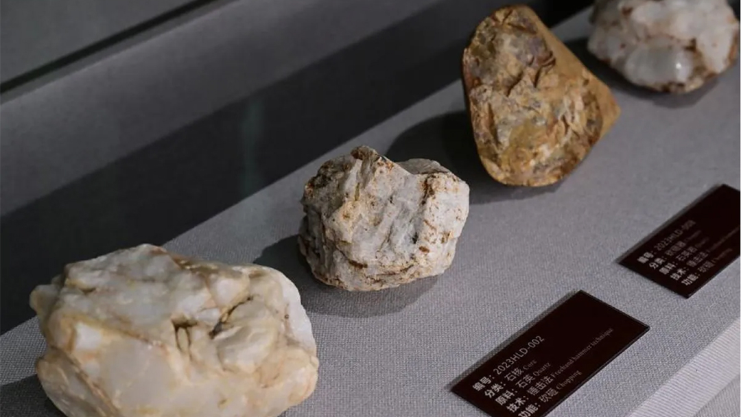 Ilmuwan China Temukan Fosil nan Mengungkap Evolusi Manusia