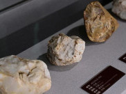 Ilmuwan China Temukan Fosil nan Mengungkap Evolusi Manusia