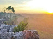 Batu Dinding Semboja, Tembok Besar di Rimba Bumi Mulawarman