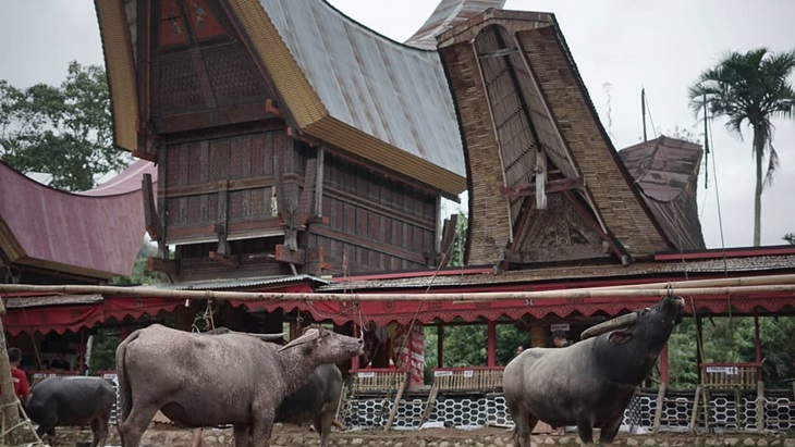 Acara Lovely December di Toraja. (Instagram/@bikinkerenindonesia)