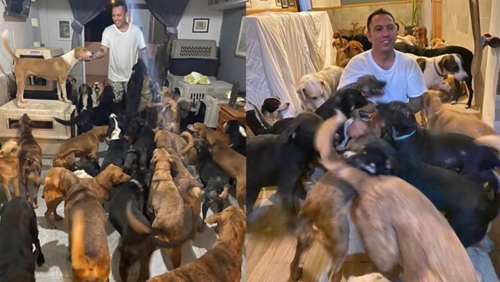 Lindungi Ratusan Anjing Liar dari Badai, Aktivis Hewan Ini Jadi Sorotan Dunia