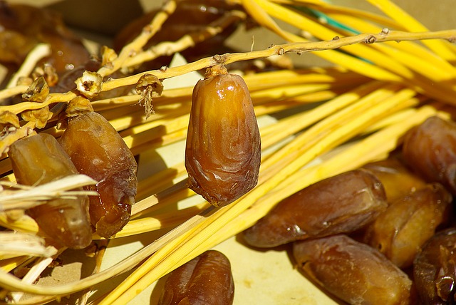 Puasa Syawal bagus untuk kesehatan (Foto: Pixabay/jackmac34)