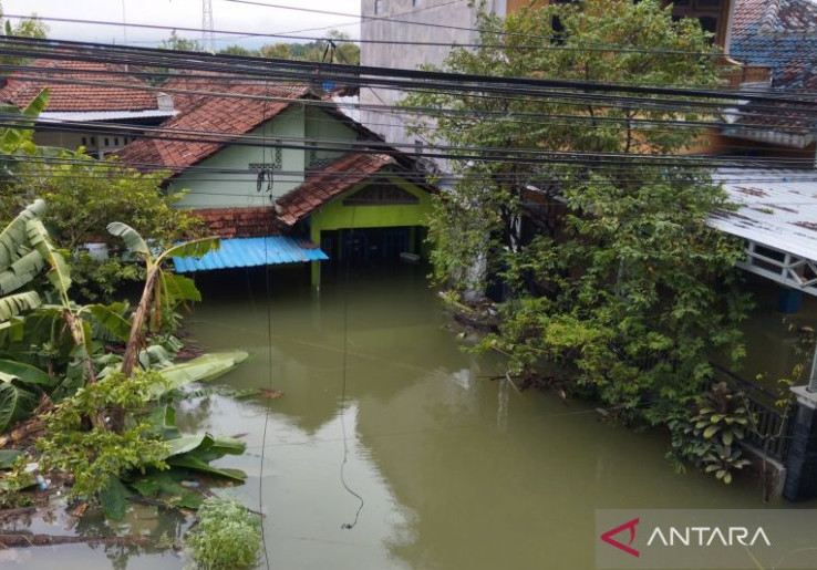Pemerintah Diminta Segera Inisiasi Pemulihan Produktivitas Gabah Usai Demak Dilanda Banjir Parah