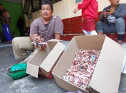 LPS Imbau Masyarakat Nabung di Bank Usai Viral Uang Dimakan Rayap