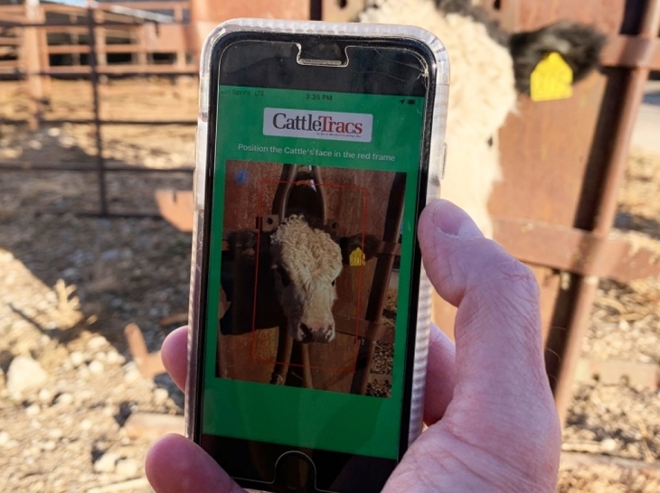 Aplikasi CattleTracs yang bisa melacak dan mengenali ternak. (Foto: ctvnews.ca)