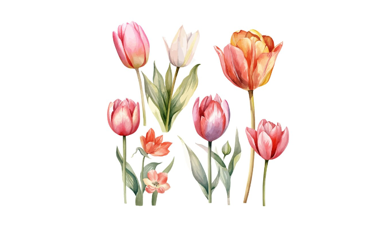 5 Makna Warna Bunga Tulip dan Filosofinya yang Mendalam