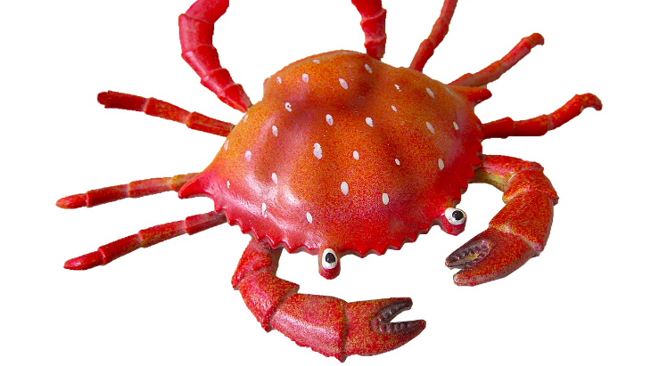 Makan Kepiting Tanpa Piring? Nih 4 Resto yang Bisa Disambangi