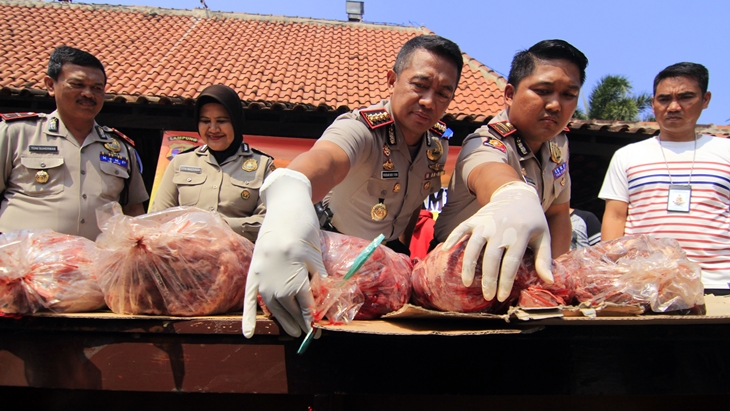 Polisi Lampung Gagalkan Pengiriman Dua Ton Daging Celeng