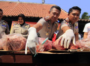 Polisi Lampung Gagalkan Pengiriman Dua Ton Daging Celeng