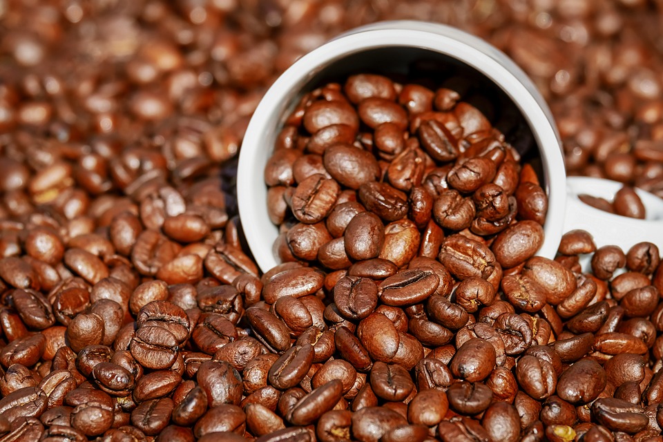 Kopi (pixabay/couleur)
