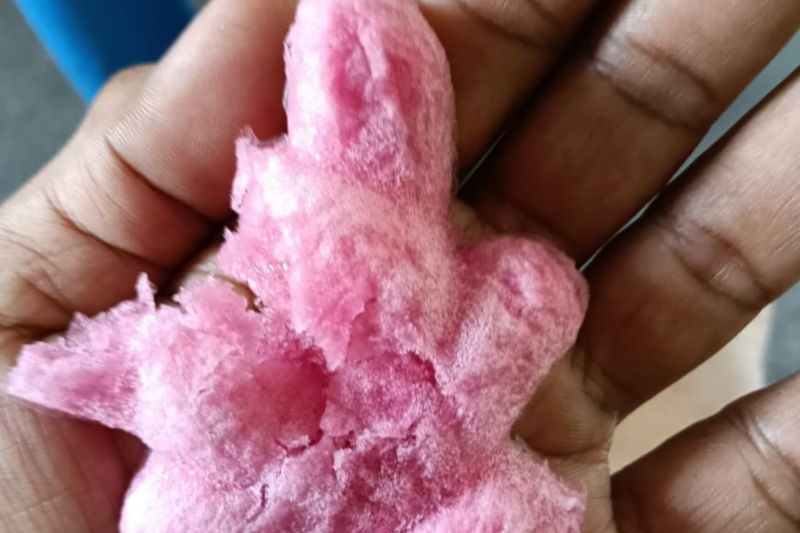 Buntut Kasus Es Gabus Viral di Medsos, Kapolres Jakpus Perketat Pembinaan Bhabinkamtibmas 