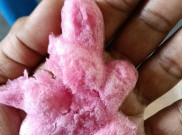 Buntut Kasus Es Gabus Viral di Medsos, Kapolres Jakpus Perketat Pembinaan Bhabinkamtibmas 