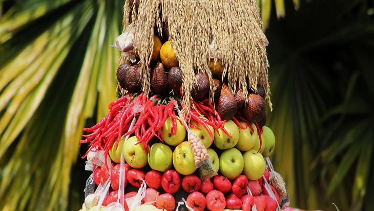 Selisik Tradisi Festival Bunga Dan Buah Berasatagi 2022 Merahputih