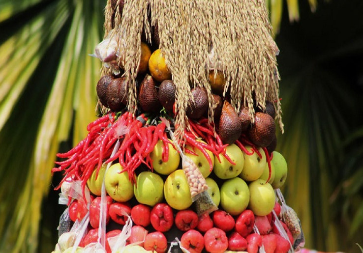 Selisik Tradisi Festival Bunga dan Buah Berastagi 2022
