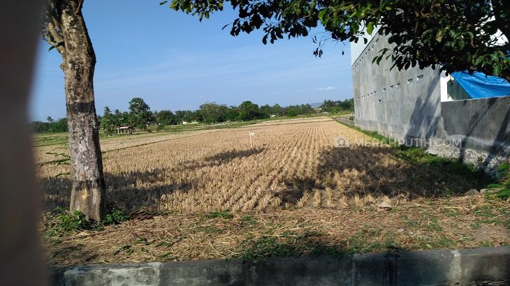 Sebagian Wilayah Yogyakarta Mulai Dilanda Kekeringan