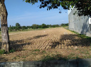 Sebagian Wilayah Yogyakarta Mulai Dilanda Kekeringan