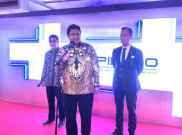 Airlangga Sebut Jerman Tertarik Investasi dari Sektor Infrastruktur hingga Energi
