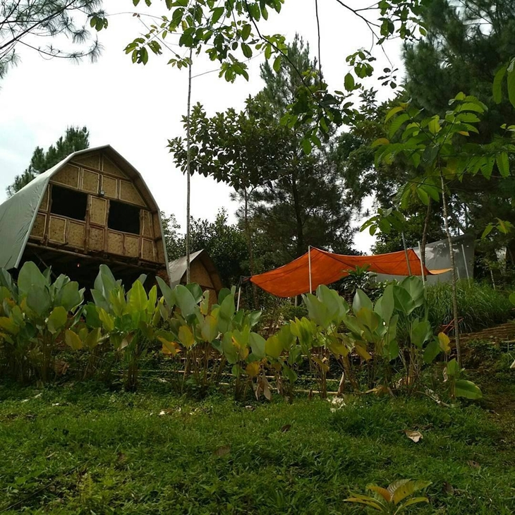 Citarik River Site. (Foto: instagram.com/citarikrivercamp)