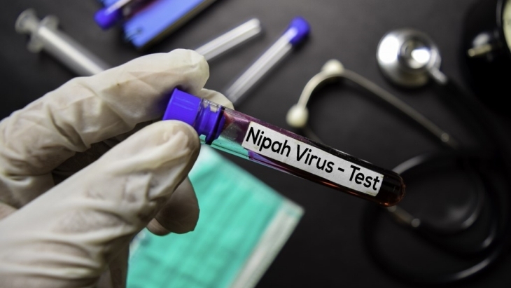 Virus Nipah yang Mengancam Asia dan Pencegahan Pandemi Selanjutnya