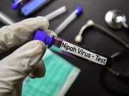 Virus Nipah yang Mengancam Asia dan Pencegahan Pandemi Selanjutnya
