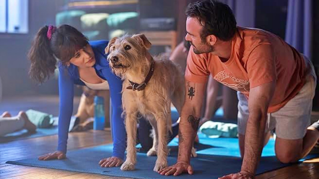 Film 'Merv' Siap Tayang 10 Desember 2025: Tentang Cinta, Perpisahan, dan Anjing yang Ikut Patah Hati