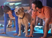 Film 'Merv' Siap Tayang 10 Desember 2025: Tentang Cinta, Perpisahan, dan Anjing yang Ikut Patah Hati