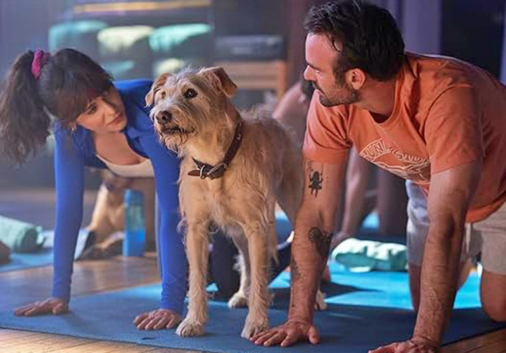 Film 'Merv' Siap Tayang 10 Desember 2025: Tentang Cinta, Perpisahan, dan Anjing yang Ikut Patah Hati