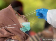 Tak Semua Penyedia Layanan PCR Ikuti Aturan Jokowi Patok Tarif Rp 300 Ribu