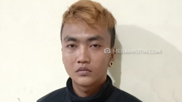 Dijebak Korban, Pelaku Pencurian 11 Ikan Cupang Seharga Rp4,9 Juta Ditangkap Polisi