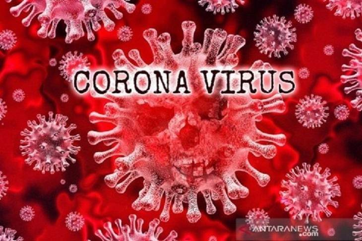 Ilustrasi - Bahaya virus corona yang mematikan. (Foto : ANTARA/Shutterstock/am).
