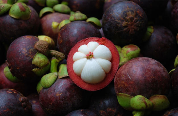 Kabar Gembira untuk Kita Semua, Buah Manggis Ternyata Punya Banyak Manfaat Kesehatan