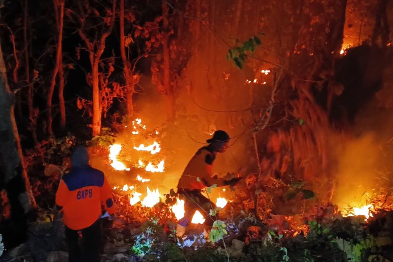 Kebakaran Hutan Jati Bondowoso Meluas 4 Hektare, Petugas Andalkan Kepyok Lokalisir Api