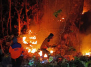 Kebakaran Hutan Jati Bondowoso Meluas 4 Hektare, Petugas Andalkan Kepyok Lokalisir Api