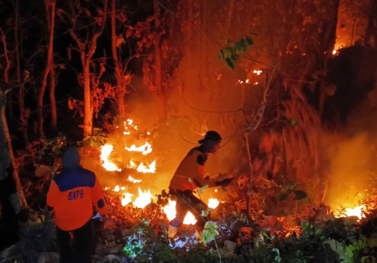 Kebakaran Hutan Jati Bondowoso Meluas 4 Hektare, Petugas Andalkan Kepyok Lokalisir Api