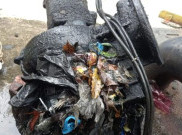 10% Pompa Kontrol Banjir Jakbar Rusak Terlilit Sampah Celana Jeans