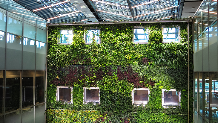 Vertical Garden Bikin Taman Sempit di Rumah Naik Kelas