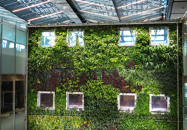 Vertical Garden Bikin Taman Sempit di Rumah Naik Kelas