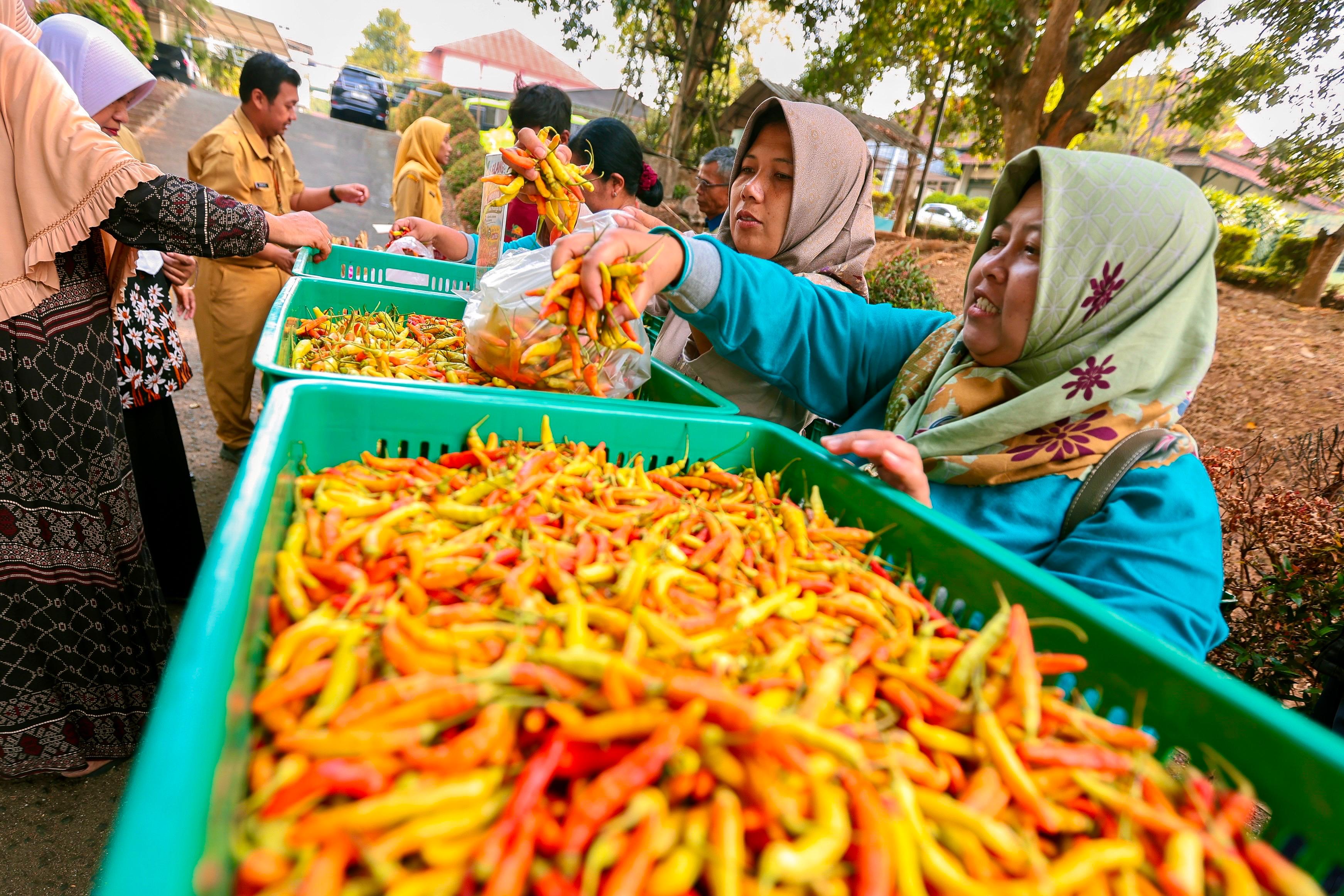 Harga Cabai di Jawa Tengah Tembus Rp 90 Ribu per Kg, Pedagang Makanan Kelimpungan